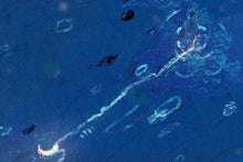 将图片加载到图库查看器，【特】撸猫 无地 z市 通贩不退款
